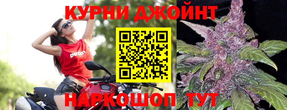 Канабис планчик Лангепас